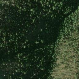 Satellite imagery of Cecil Point, US