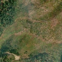 Satellite imagery of Buck Ridge, US
