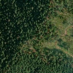 Satellite imagery of Buck Ridge, US