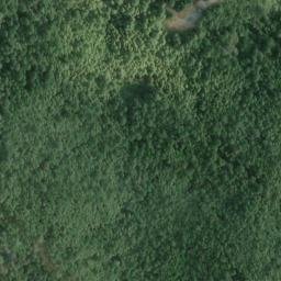 Satellite imagery of Sawmill Point, US