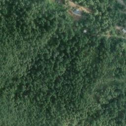 Satellite imagery of Sawmill Point, US