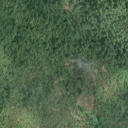 Satellite imagery of Sawmill Point, US