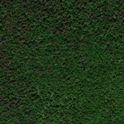 Satellite imagery of Chestnut Ridge, US