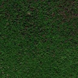 Satellite imagery of Chestnut Ridge, US