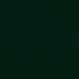 Satellite imagery of Southwest Point, US