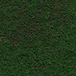 Satellite imagery of Chestnut Ridge, US