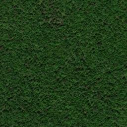 Satellite imagery of Chestnut Ridge, US