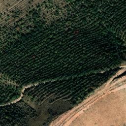Satellite imagery of survey_point, KZ