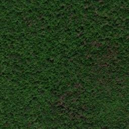Satellite imagery of Chestnut Ridge, US