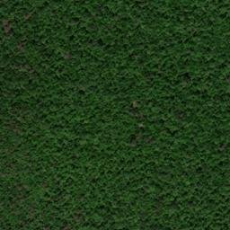 Satellite imagery of Chestnut Ridge, US