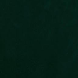 Satellite imagery of Long Neck Point, US