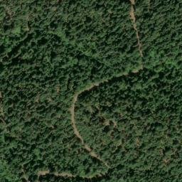 Satellite imagery of Skunk Ridge, US