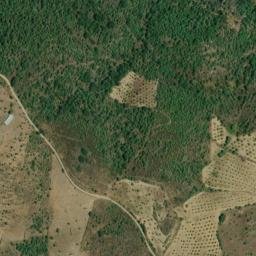 Satellite imagery of survey_point, PT