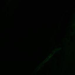 Satellite imagery of Todd Point, US