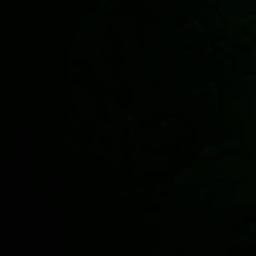 Satellite imagery of Flat Neck Point, US