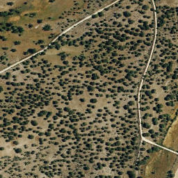 Satellite imagery of survey_point, PT