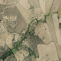Satellite imagery of survey_point, PT