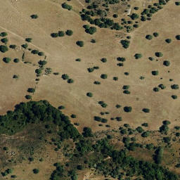 Satellite imagery of survey_point, PT