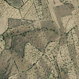 Satellite imagery of survey_point, PT