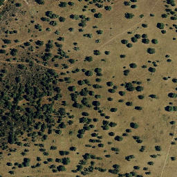 Satellite imagery of survey_point, PT