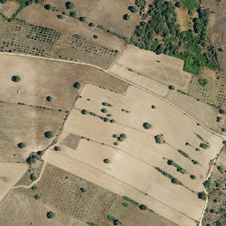 Satellite imagery of survey_point, PT