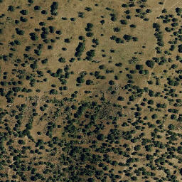 Satellite imagery of survey_point, PT