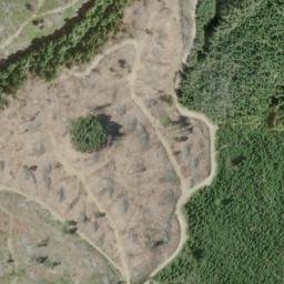 Satellite imagery of Wiregrass Ridge, US