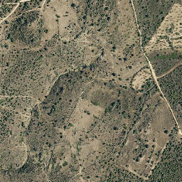 Satellite imagery of survey_point, PT