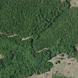 Satellite imagery of Wiregrass Ridge, US