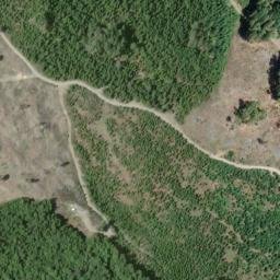 Satellite imagery of Wiregrass Ridge, US