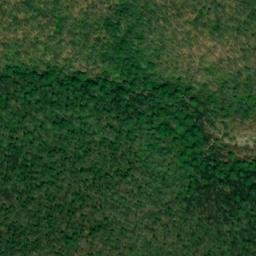 Satellite imagery of Buck Ridge, US