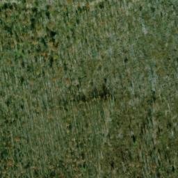 Satellite imagery of Dry Ridge, US
