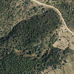 Satellite imagery of survey_point, PT