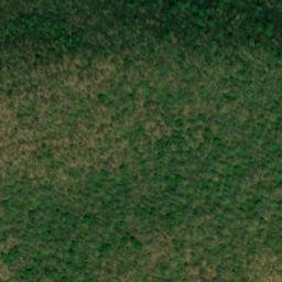 Satellite imagery of Buck Ridge, US