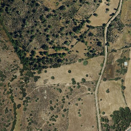 Satellite imagery of survey_point, PT