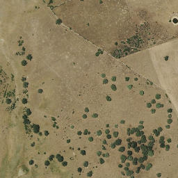 Satellite imagery of survey_point, PT