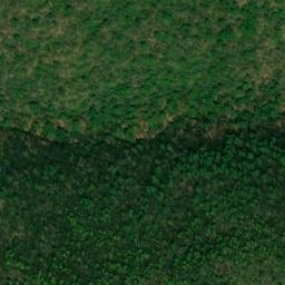 Satellite imagery of Buck Ridge, US