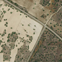 Satellite imagery of survey_point, PT