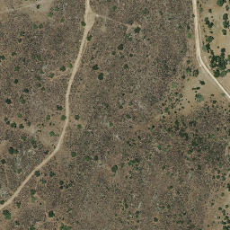 Satellite imagery of survey_point, PT