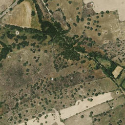 Satellite imagery of survey_point, ES
