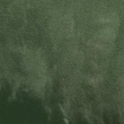 Satellite imagery of Nealeys Point, US