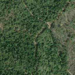 Satellite imagery of Panther Ridge, US
