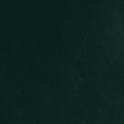 Satellite imagery of Delancey Point, US