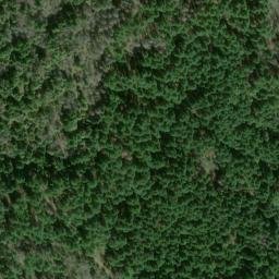 Satellite imagery of Zeigler Point, US
