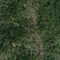 Satellite imagery of Backbone Ridge, US