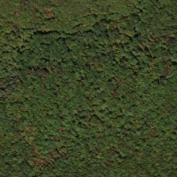 Satellite imagery of North Prong Thick Mountain, US