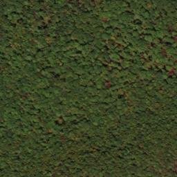 Satellite imagery of North Prong Thick Mountain, US