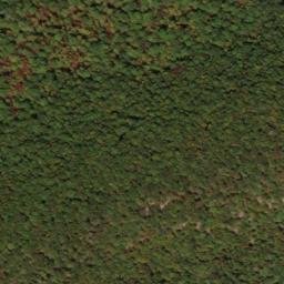 Satellite imagery of North Prong Thick Mountain, US