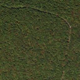 Satellite imagery of North Prong Thick Mountain, US