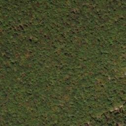 Satellite imagery of North Prong Thick Mountain, US
